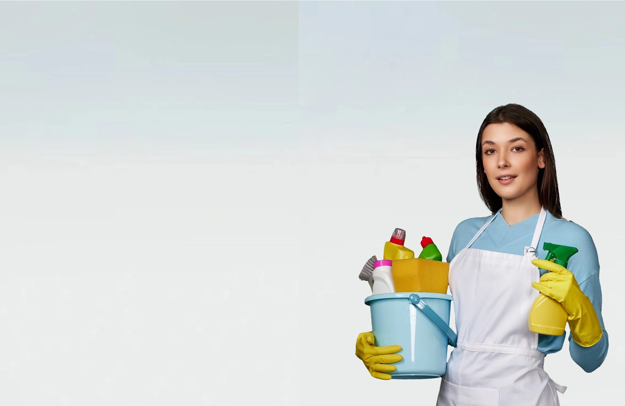 Professional Cleaning Services