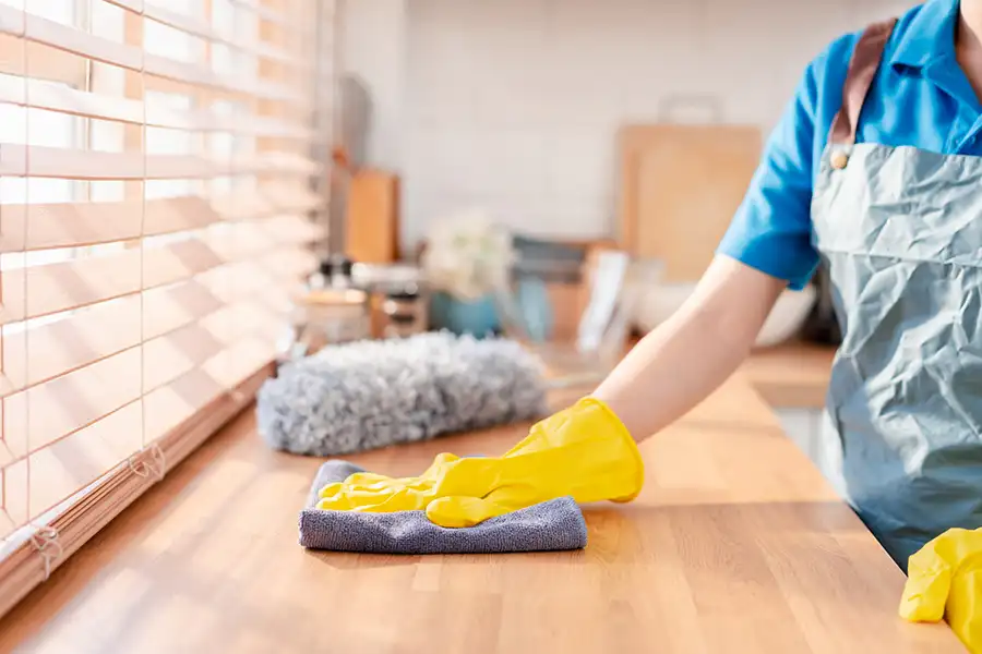 Move-In Cleaning Service